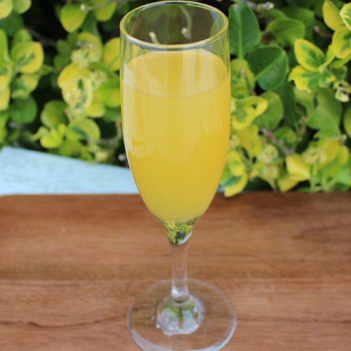 Mimosa